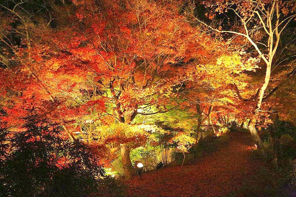 🏛️ 신의 창고 사원(진조지) 이미지 7